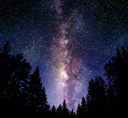 南阳旅游景点，南阳旅游景点，探秘中原文化与自然奇观的交汇