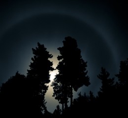 焦作旅游景点，焦作，山水人文交织的旅游胜地