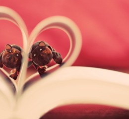 甘南草原旅游攻略，甘南草原旅游攻略，探索高原上的绿色瑰宝