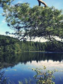 赤水旅游攻略，赤水旅游攻略，探索自然与历史的交融