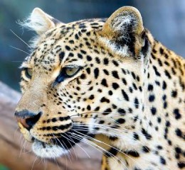 杭州有哪些旅游景点，杭州旅游景点全攻略，探索人间天堂的美