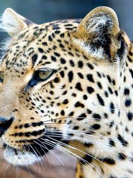 杭州有哪些旅游景点，杭州旅游景点全攻略，探索人间天堂的美