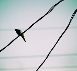 伊春旅游景点攻略自由行，伊春自由行攻略，探索自然之美的秘境之旅