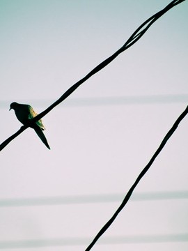 伊春旅游景点攻略自由行，伊春自由行攻略，探索自然之美的秘境之旅