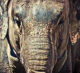 新乡旅游景点，新乡旅游景点，探索河南的自然与历史宝藏