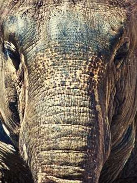 新乡旅游景点，新乡旅游景点，探索河南的自然与历史宝藏