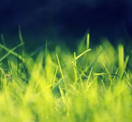 临沂旅游景点大全排名，临沂旅游景点大全排名，探索山东的自然与文化瑰宝