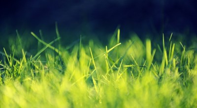 临沂旅游景点大全排名，临沂旅游景点大全排名，探索山东的自然与文化瑰宝