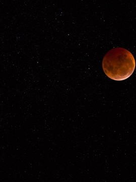 湖南长沙旅游自由行攻略，湖南长沙旅游自由行攻略，探索星城之美