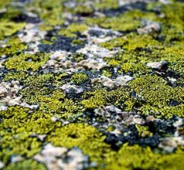 清远旅游景点大全，清远旅游景点全攻略，探索岭南山水之美