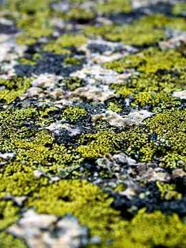 重庆有哪些旅游景点，重庆旅游景点全攻略，山水之城的独特魅力