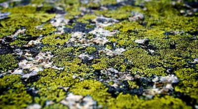 清远旅游景点大全，清远旅游景点全攻略，探索岭南山水之美