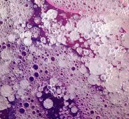 西班牙旅游攻略，探索多彩西班牙，一份全面的旅游攻略