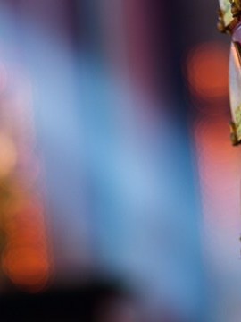 西藏旅游必去景点，西藏旅游必去景点，探索神秘高原的自然与文化奇观