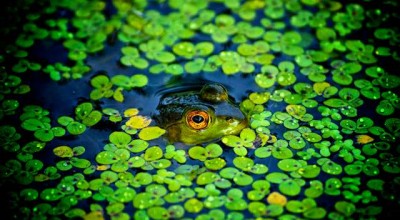 云南旅游景点分布图，云南旅游地图，探索多彩的自然与文化
