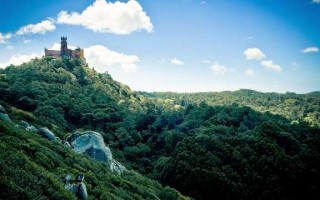 西双版纳旅游景点，探索西双版纳，热带雨林与多元文化的交汇
