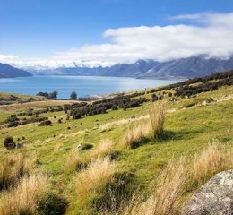 杭州到黄山旅游攻略，杭州到黄山旅游攻略，探索自然与文化的完美融合