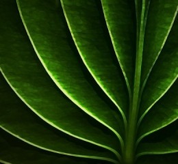 防城港旅游景点大全，防城港旅游景点大全，探索边海之城的自然与文化之美