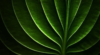 防城港旅游景点大全，防城港旅游景点大全，探索边海之城的自然与文化之美