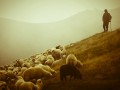 成都旅游景点攻略自由行，成都，天府之国的自由行攻略
