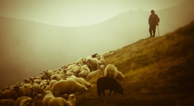 去重庆旅游攻略，重庆深度游，探索山城的魔幻与美食