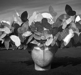 桂林阳朔旅游攻略，桂林阳朔深度游，探秘山水间的诗意画卷