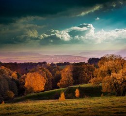 岳阳旅游景点，岳阳旅游，探秘洞庭湖畔的璀璨明珠