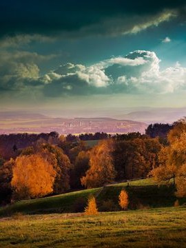 岳阳旅游景点，岳阳旅游，探秘洞庭湖畔的璀璨明珠