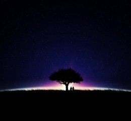 老年人北京旅游攻略，银发族的京城之旅，北京旅游攻略